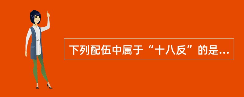 下列配伍中属于“十八反”的是( )。