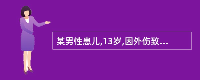 某男性患儿,13岁,因外伤致前牙折断,冠缺2£¯3,检查X片示已作完善根管治疗,