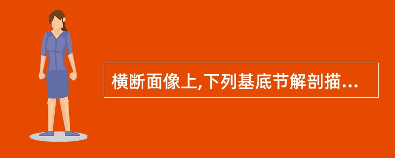 横断面像上,下列基底节解剖描述中哪项不对