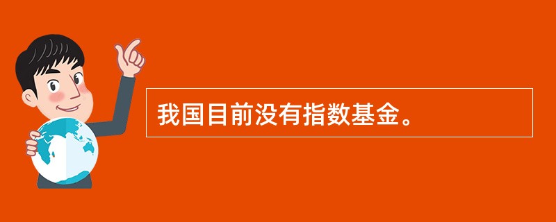 我国目前没有指数基金。