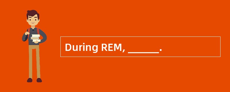 During REM, ______.