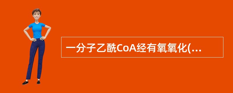 一分子乙酰CoA经有氧氧化(三羧酸循环)可生成几分子ATP