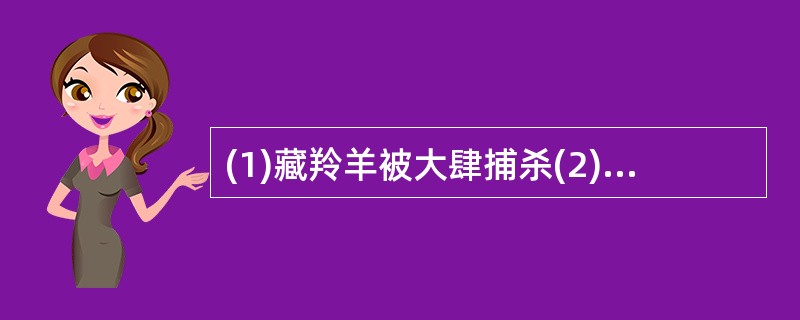 (1)藏羚羊被大肆捕杀(2)颁布保护藏羚羊有关法规(3)藏羚羊数量有所回升(4)