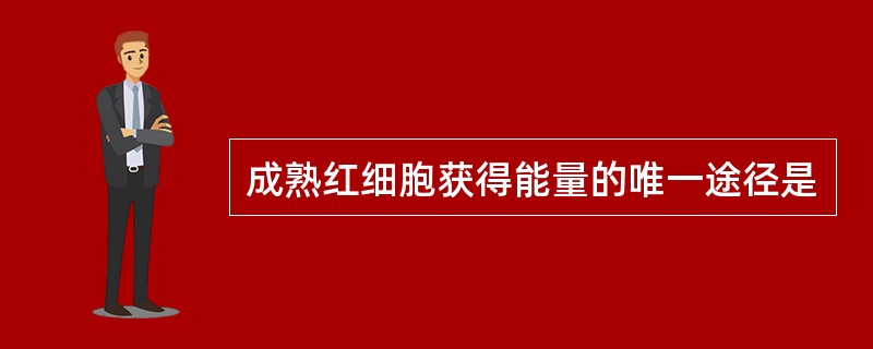 成熟红细胞获得能量的唯一途径是