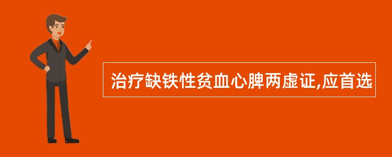 治疗缺铁性贫血心脾两虚证,应首选