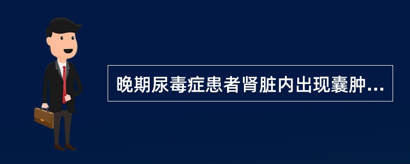 晚期尿毒症患者肾脏内出现囊肿是因为（）