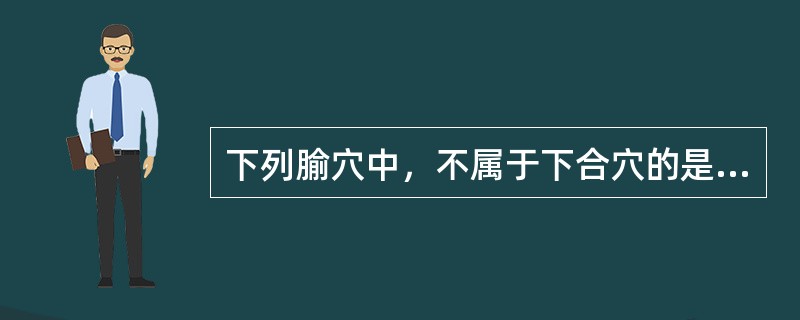 下列腧穴中，不属于下合穴的是（）。