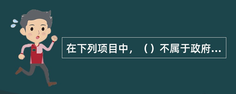 在下列项目中，（）不属于政府购买。