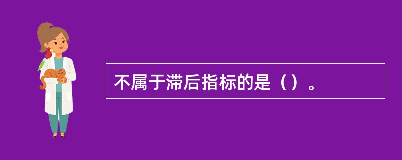 不属于滞后指标的是（）。