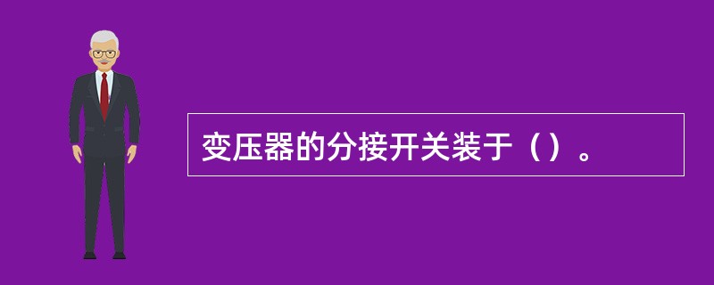 变压器的分接开关装于（）。