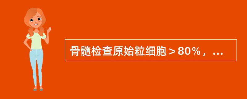 骨髓检查原始粒细胞＞80％，早幼粒细胞12％，中幼粒细胞3％，诊断（）。