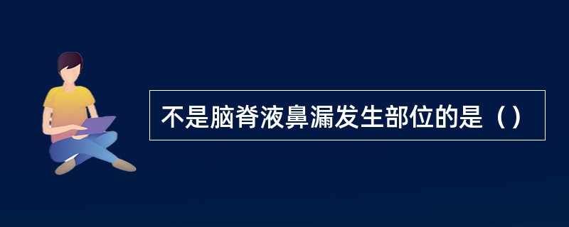 不是脑脊液鼻漏发生部位的是（）