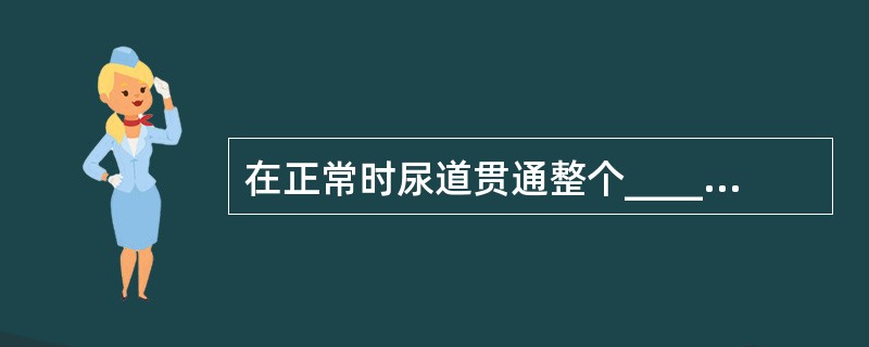 在正常时尿道贯通整个__________海绵体，如尿道外口开口不在龟头，则为__