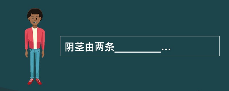 阴茎由两条__________海绵体和__________海绵体，外包以____
