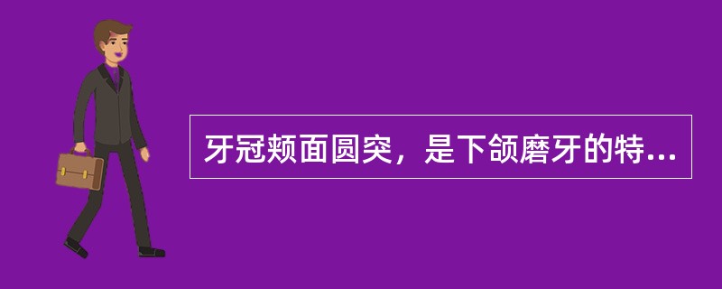 牙冠颊面圆突，是下颌磨牙的特征之一。