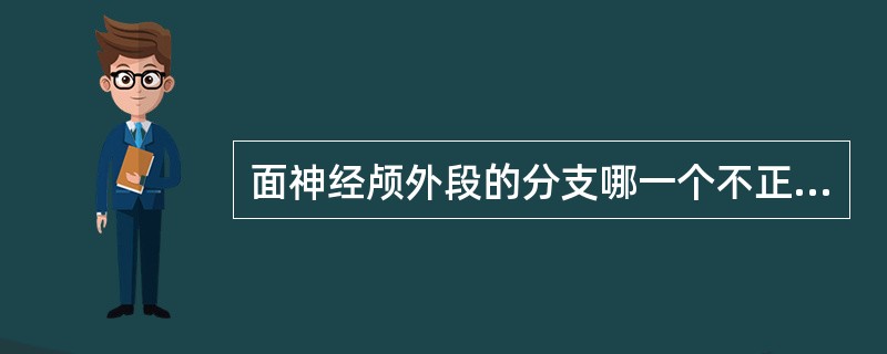 面神经颅外段的分支哪一个不正确()