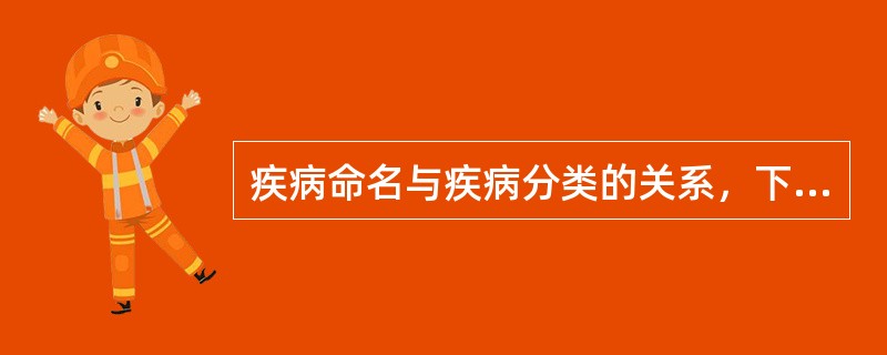 疾病命名与疾病分类的关系，下列哪项描述是正确的（）.