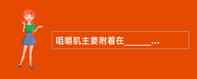 咀嚼肌主要附着在________，其主要功能是________、________