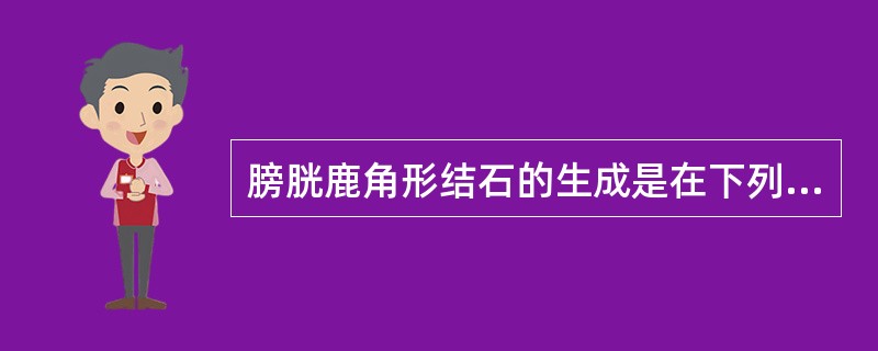 膀胱鹿角形结石的生成是在下列哪个部位（）.