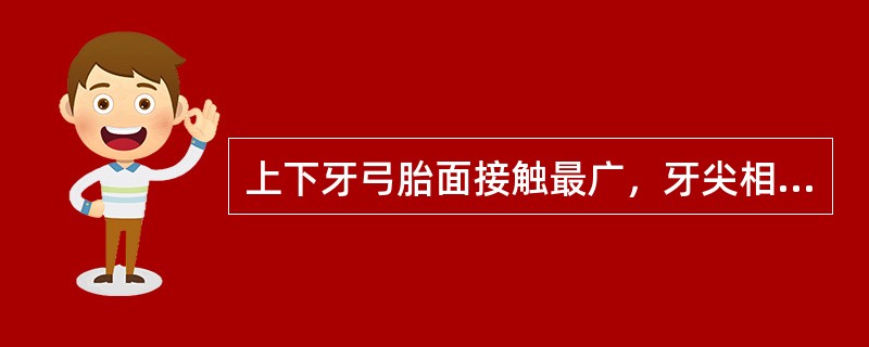 上下牙弓胎面接触最广，牙尖相互交错的位置称为（）。