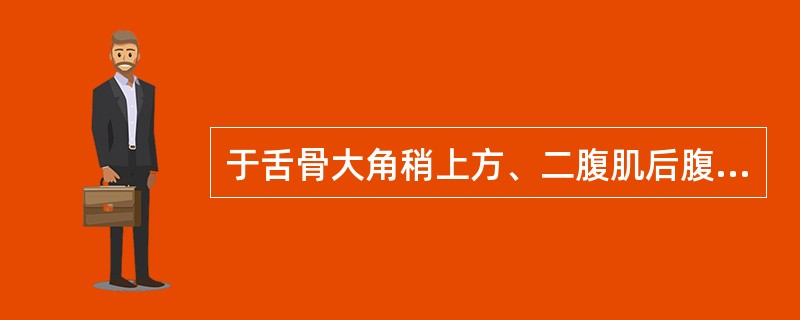 于舌骨大角稍上方、二腹肌后腹下缘处发自颈外动脉的分支是（）。