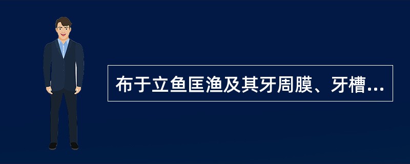 布于立鱼匡渔及其牙周膜、牙槽骨、唇侧牙跟的神经是（）。