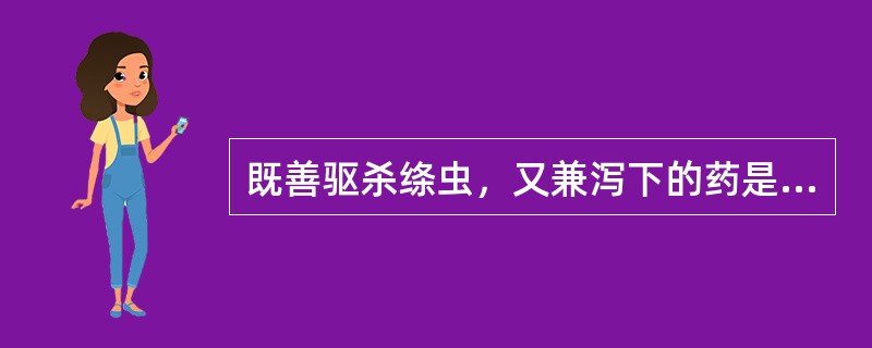 既善驱杀绦虫，又兼泻下的药是（）。