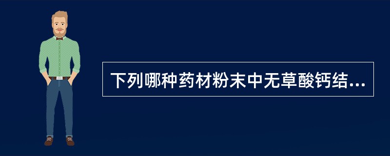 下列哪种药材粉末中无草酸钙结晶（）。