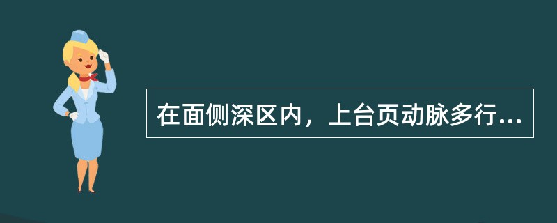 在面侧深区内，上台页动脉多行于（）。