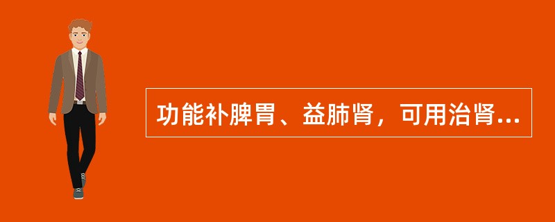 功能补脾胃、益肺肾，可用治肾虚遗精、尿频的药物是（）。