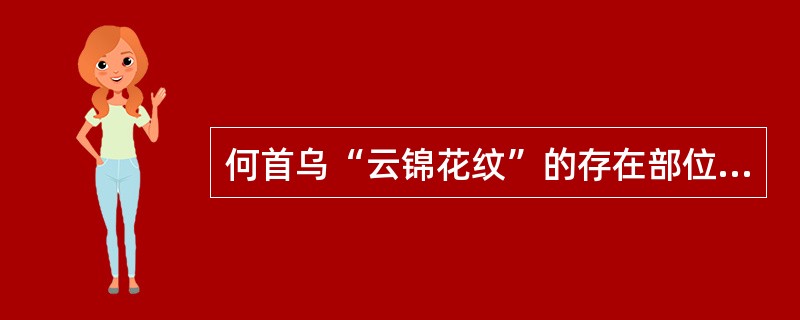 何首乌“云锦花纹”的存在部位为（）。