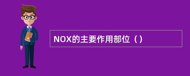 NOX的主要作用部位（）
