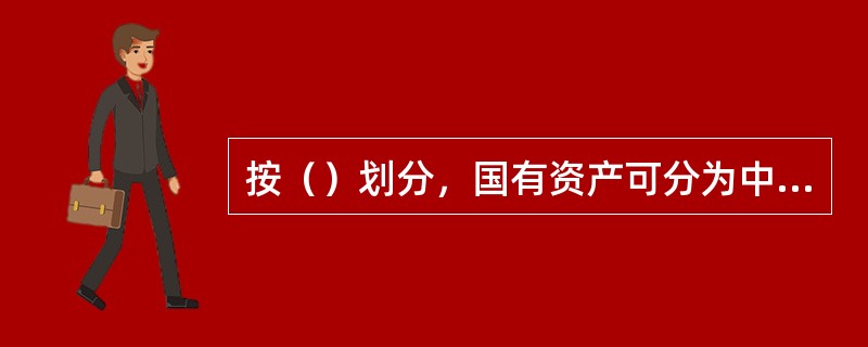 按（）划分，国有资产可分为中央国有资产、地方国有资产。