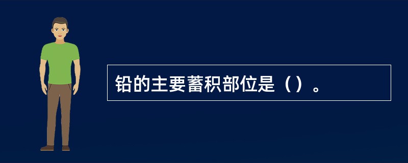 铅的主要蓄积部位是（）。