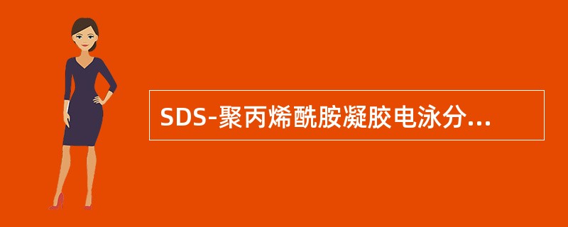SDS-聚丙烯酰胺凝胶电泳分离条带，上边的带为（）