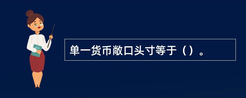 单一货币敞口头寸等于（）。