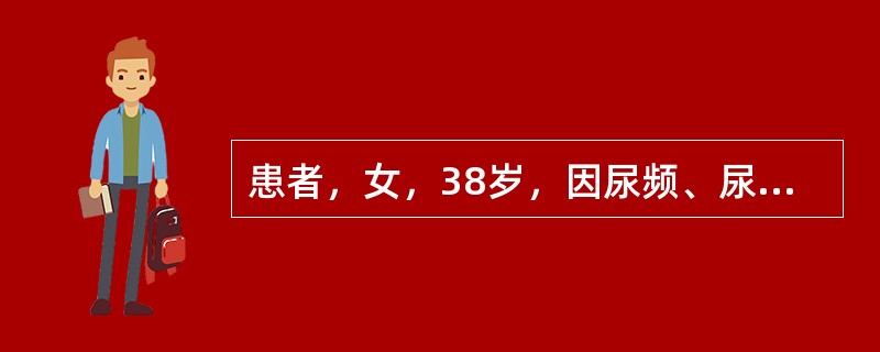 患者，女，38岁，因尿频、尿急、尿痛到医院就诊。体检结果：体温38.5℃，右肾区