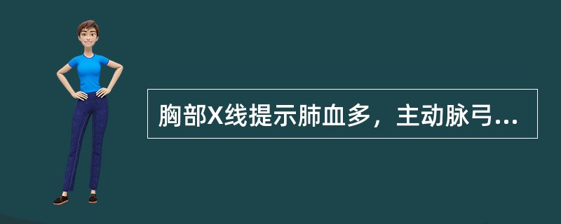 胸部X线提示肺血多，主动脉弓增大（）