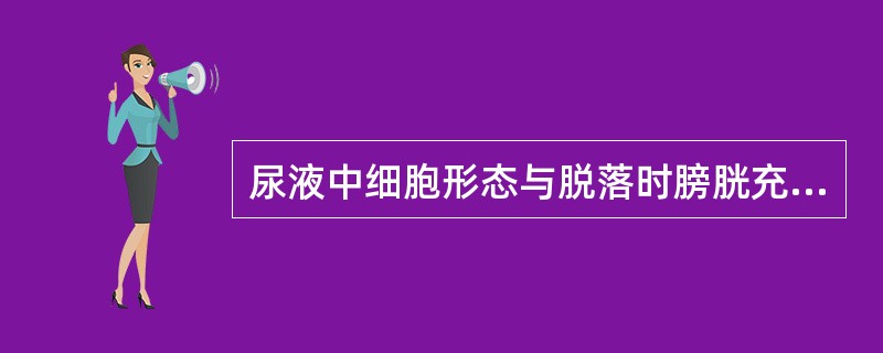 尿液中细胞形态与脱落时膀胱充盈度有关的是（）肾小管上皮细胞内出现含铁血黄素颗粒或