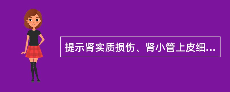 提示肾实质损伤、肾小管上皮细胞脂肪变性的管型是（）提示肾实质有细菌感染的管型是（