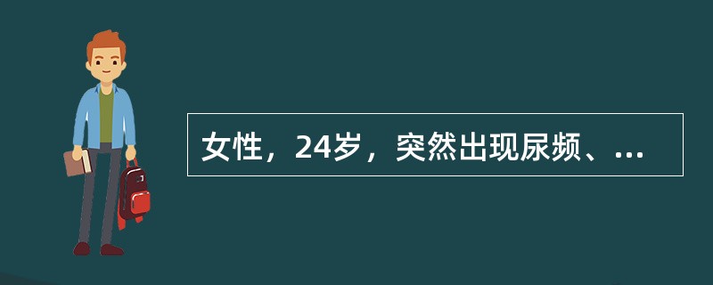 女性，24岁，突然出现尿频、尿痛，进而发热。尿检查：尿蛋白（+），红细胞5～7/