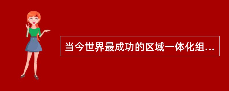 当今世界最成功的区域一体化组织非欧盟莫属，它起步于欧洲煤钢共同体，发展于欧洲经济