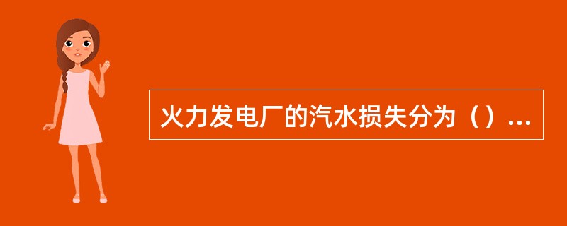 火力发电厂的汽水损失分为（）两部分。