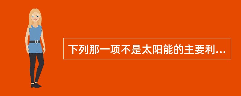 下列那一项不是太阳能的主要利用形式？（）