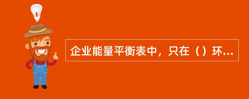 企业能量平衡表中，只在（）环节中有等价值栏和当量值栏。