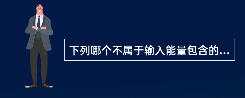 下列哪个不属于输入能量包含的项目（）