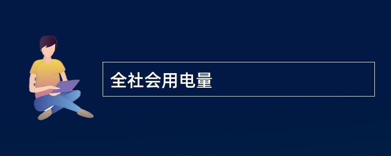 全社会用电量