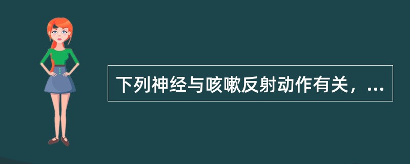 下列神经与咳嗽反射动作有关，除了（）。