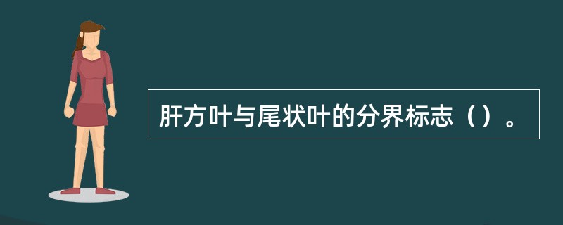 肝方叶与尾状叶的分界标志（）。