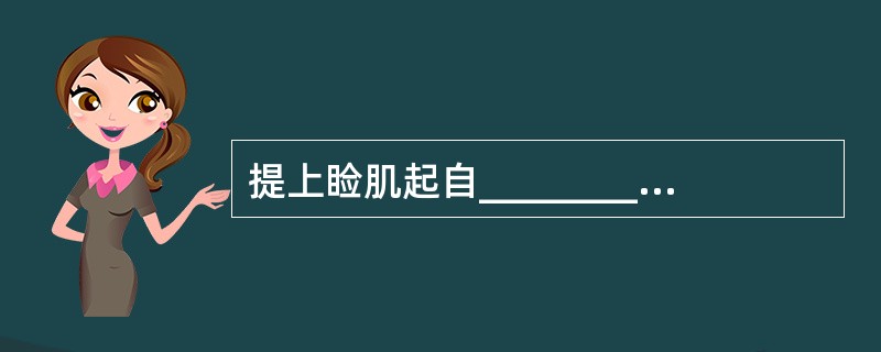 提上睑肌起自________的总腱环，沿眶上壁至眶缘呈________分成___